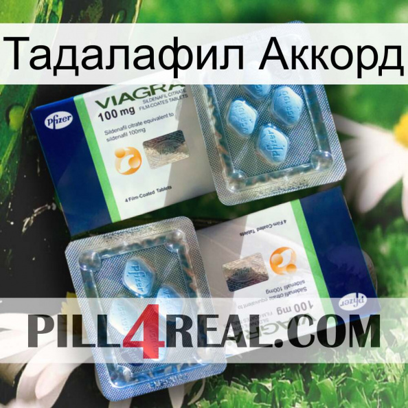 Тадалафил Аккорд viagra5.jpg